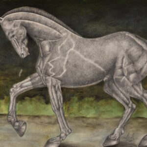 FOAL