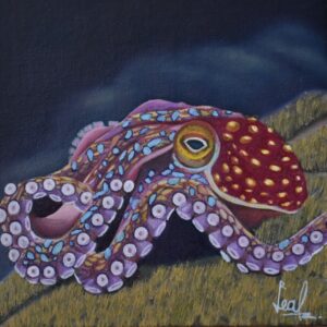 OCTUPUS