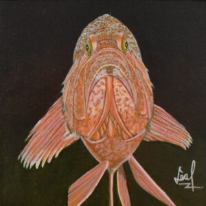 ROCKFISH